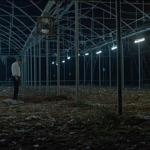 Photo Big Bad Wolves