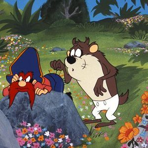Photo L'île Fantastique De Daffy Duck