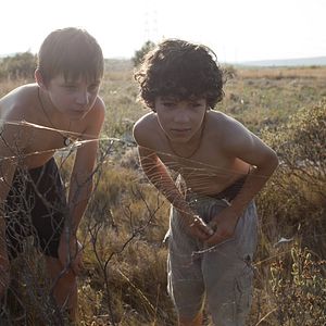 Photo Vie sauvage