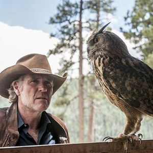 Photo Robert Taylor (II)