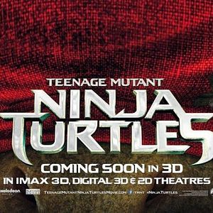 Photo Ninja Turtles