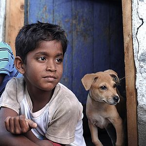 Photo Kaakka Muttai