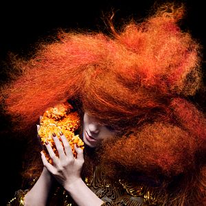 Photo Björk