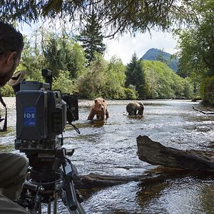 Photo Grizzly