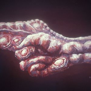 Photo Videodrome