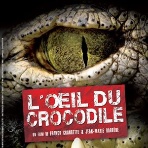 Photo L'Oeil du crocodile
