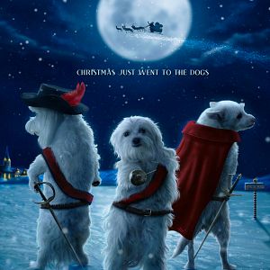 Photo Les 3 chiens Mousquetaires