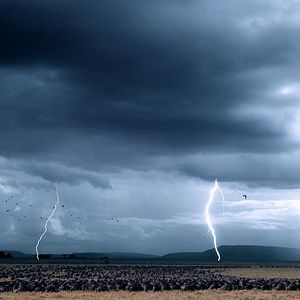 Photo Nature