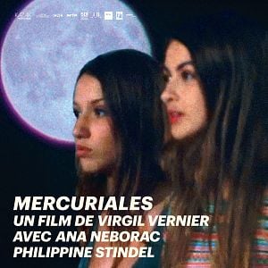 Photo Mercuriales