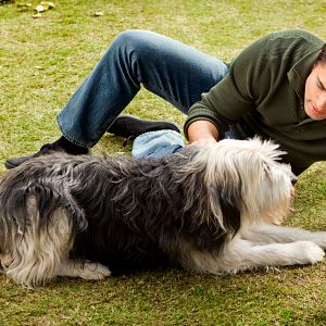 Photo Un amour de chien