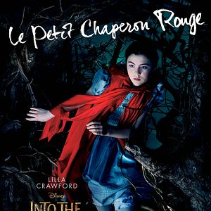 Photo Into the Woods, Promenons-nous dans les bois