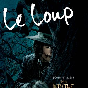 Photo Into the Woods, Promenons-nous dans les bois