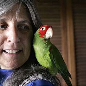 Photo Judy Irving
