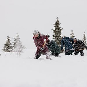 Photo MacKenzie Porter