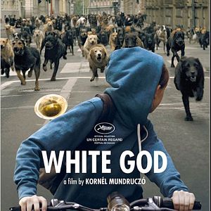 Photo White God