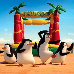 Photo Les Pingouins de Madagascar