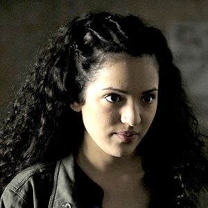 Photo Mélèze Bouzid