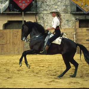 Photo Bo Derek