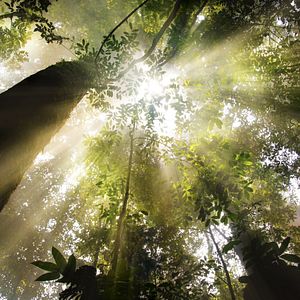 Photo Nature