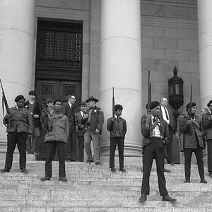 Photo The Black Panthers: Vanguard of the Revolution