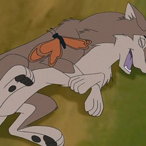Photo Balto 2 : la quête du loup