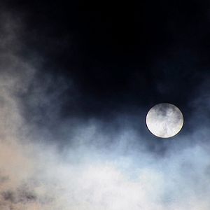 Photo L'Echappée, à la poursuite d’Annie Le Brun