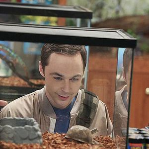 Photo The Big Bang Theory