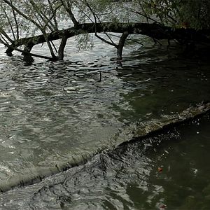 Photo A propos de Venise