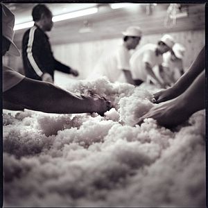 Photo The Birth of Saké