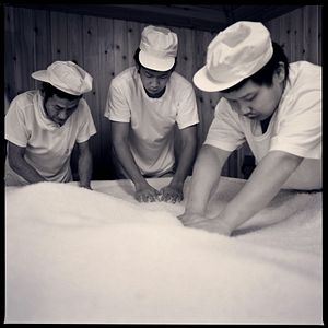 Photo The Birth of Saké