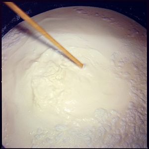Photo The Birth of Saké