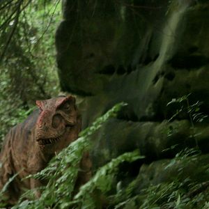 Photo Extinction