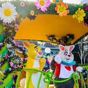 Photo Coco Lapin