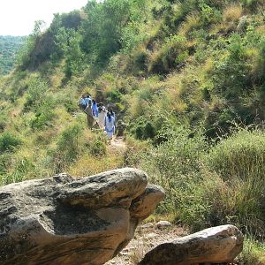 Photo Among the Believers
