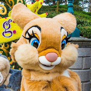 Photo Miss Bunny