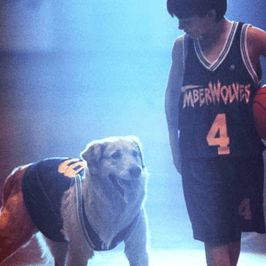 Photo Air Bud - Buddy star des paniers