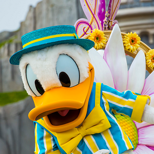 Photo Donald