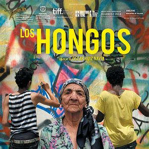 Photo Los hongos