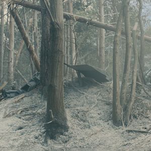 Photo Scarlett Johansson