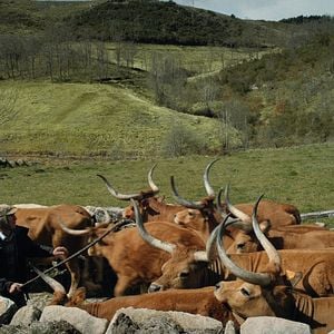 Photo Volta à Terra