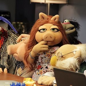 Photo The Muppets