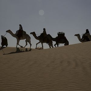 Photo Queen of the Desert