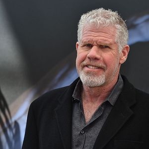 Photo Ron Perlman