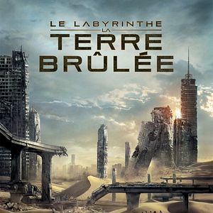 Photo Le Labyrinthe : La Terre brûlée