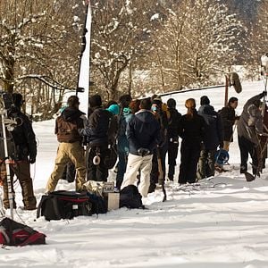 Photo Palmiers dans la neige