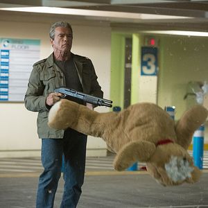 Photo Arnold Schwarzenegger