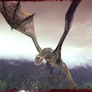 Photo Wyvern