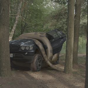 Photo Lake Placid vs. Anaconda