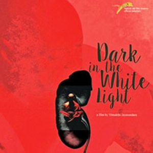 Photo Dark in the White Light