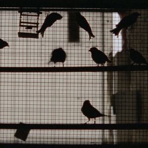 Photo Les mille et une nuits - L'Enchanté